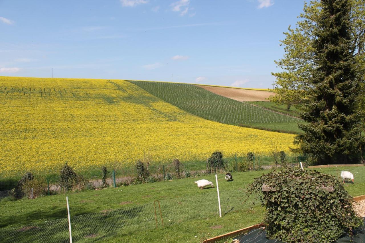 Happy & Relax Bed and Breakfast Mentque-Nortbecourt Buitenkant foto